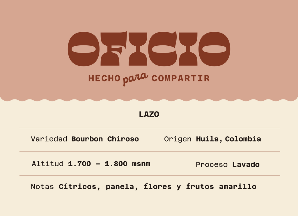 Lazo